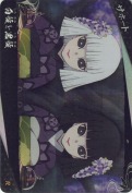 白髮と黒髪【R】