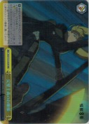 【特価品】完璧主義のお嬢様【RRR】