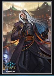 ★伽藍 スリーブ