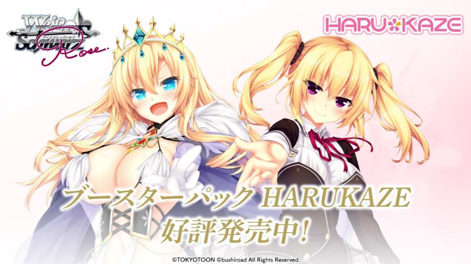 グランドパンダキャニオン / 新商品4コンセット＆カートン