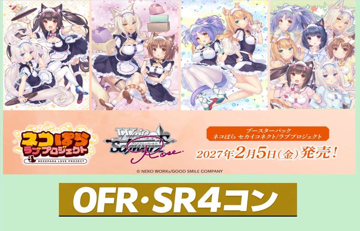 グランドパンダキャニオン / 新商品4コンセット＆カートン