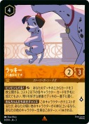 ラッキー 15番目の子犬【レア】