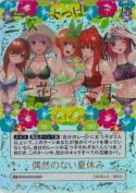 偶然のない夏休み【SP】