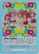 偶然のない夏休み【GR】