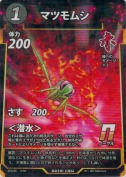 マツモムシ