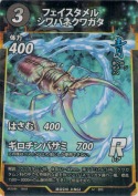 フェイスタメルシワバネクワガタ【R】