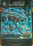 エラフスホソアカクワガタ【SR】