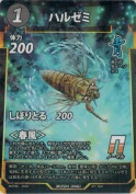 ハルゼミ