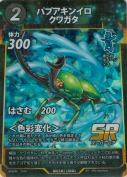 パプアキンイロクワガタ【SR】