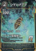 シマハナアブ