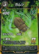 ガムシ
