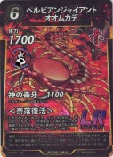 ペルビアンジャイアントオオムカデ【LR】