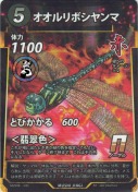 オオルリボシヤンマ