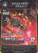 ミナミミイデラゴミムシ