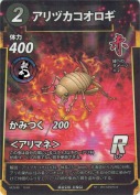 アリヅカコオロギ