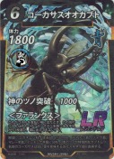 コーカサスオオカブト【LR】