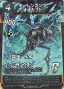 モーレンカンプオオカブト