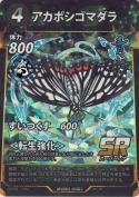 アカボシゴマダラ【SR】