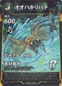 オオハキリバチ
