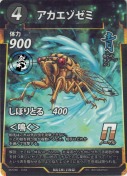 アカエゾゼミ
