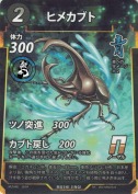 ヒメカブト