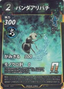 パンダアリバチ