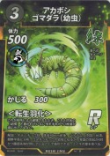 アカボシゴマダラ(幼虫)