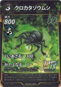 クロカタゾウムシ【UR】