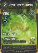 ミカドアゲハ(幼虫)