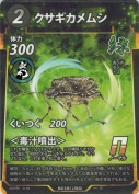クサギカメムシ
