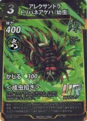アレクサンドラトリバネアゲハ(幼虫）【UR】