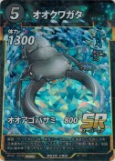 オオクワガタ【PR】(絵違い)