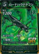 ロードハウナナフシ【PR】