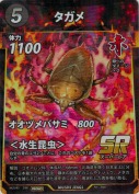 タガメ【PR】