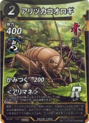 アリヅカコオロギ【PR】(ふくおか大昆虫展)