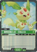 期待の新入り - クルリス【SR】