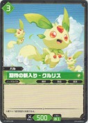 期待の新入り - クルリス