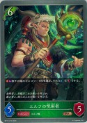 エルフの呪術者