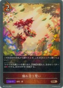 触れ合う想い