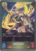 聖騎士の団員