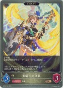 聖騎士の団員【エボルヴ】