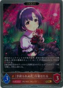 〔手折られぬ花〕白菊ほたる【エボルヴ】【GR】