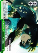 Next Life