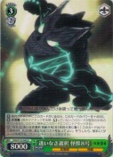 迷いなき選択 怪獣８号【R】