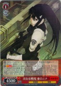 次なる戦場 亜白ミナ【RR】