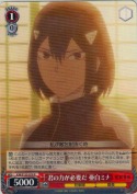 君の力が必要だ 亜白ミナ【R】