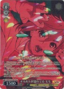 オカルトが溢れてる モモ【SR】