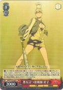 悪を討つ霊媒師 星子【R】