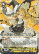 霧雨の魔法使い 魔理沙【R】