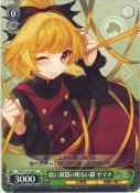 暗い洞窟の明るい網 ヤマメ